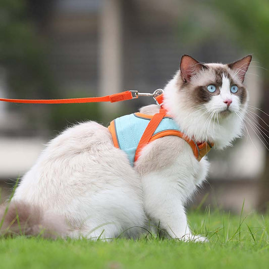 🐈Reflexní postroj pro kočky s vodítkem, zabraňující útěku🐾